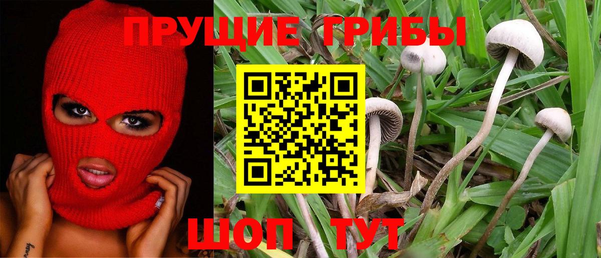 Галлюциногенные грибы MAGIC MUSHROOMS  где купить наркоту  Ялта  Галлюциногенные грибы GOLDEN TEACHER  Вход с VPN 